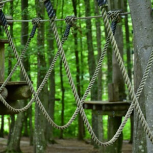 19.08.2026  Fahrt zum Kletterwald Tegernsee (488)
