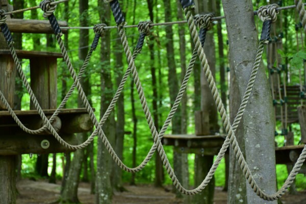 19.08.2026  Fahrt zum Kletterwald Tegernsee (488)